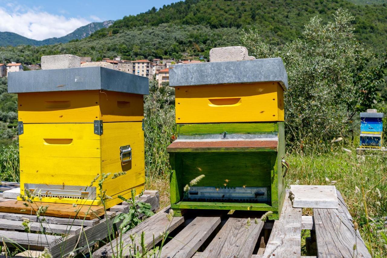 Arvé Panzió Colletta Kültér fotó